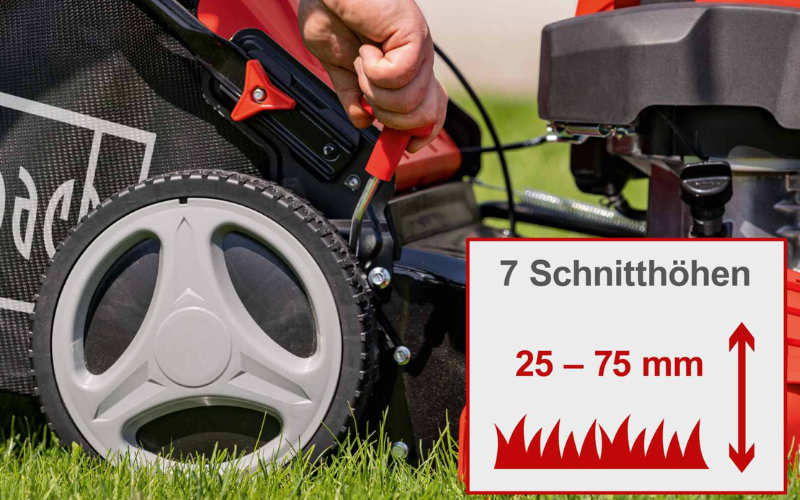 Gras, Rasen, Pflanze, Rad, Gerät